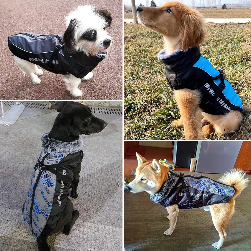 Reflective Waterproof Jacket for Dogs - Image 4 Reflective Waterproof Dog Jacket with Harness - product view 4