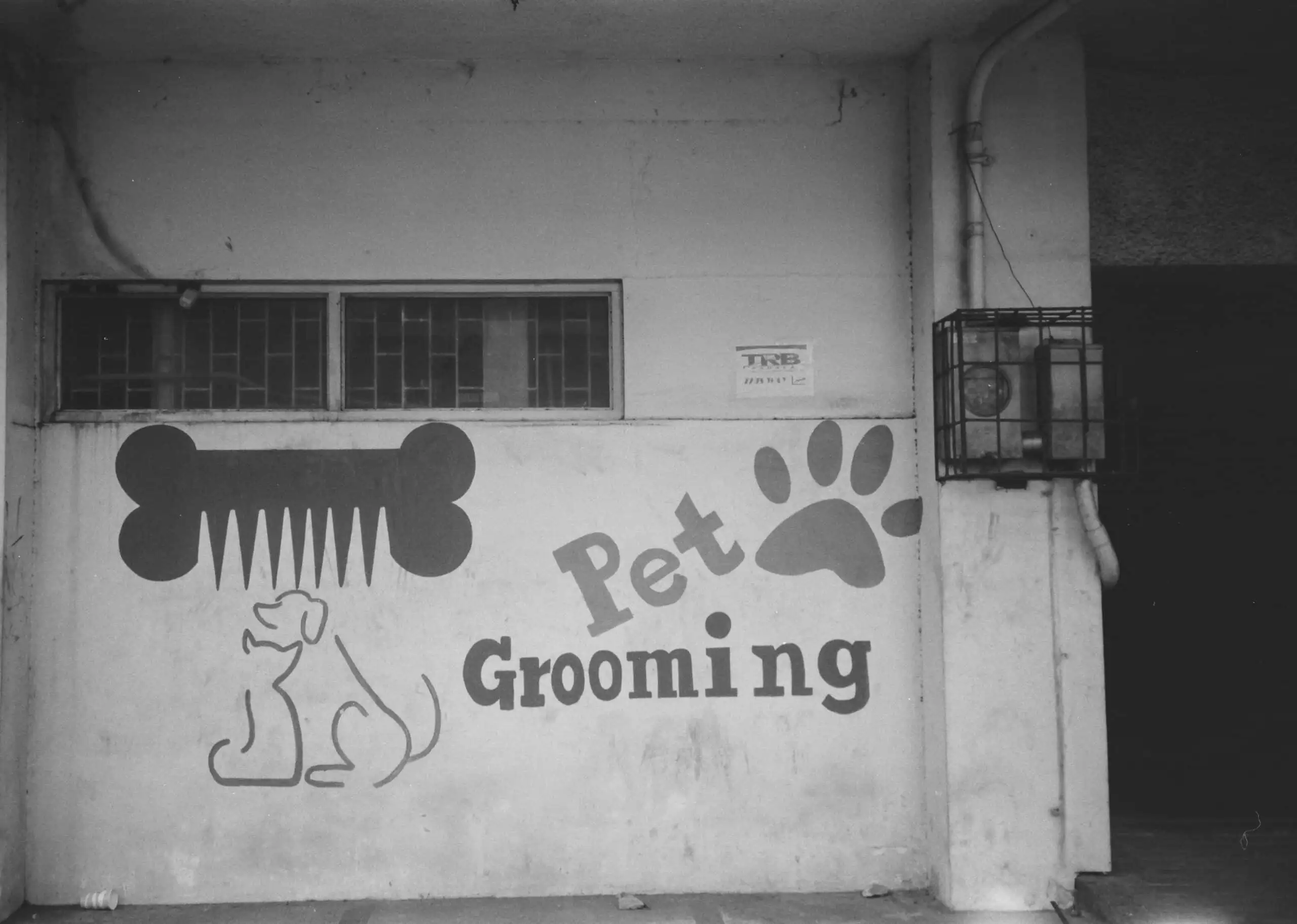 6 Essential Tips for Effective Home Pet Grooming