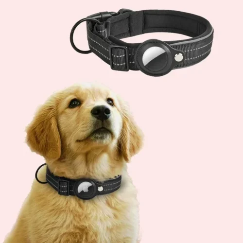 Reflective AirTag Dog Collar with Integrated Holder