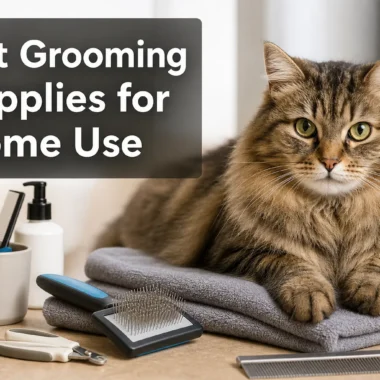 Best Dog Grooming Tools for Home Use