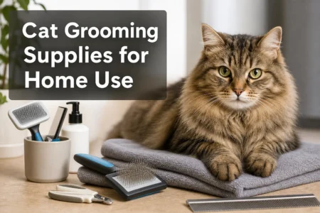 Cat Grooming Supplies for Home Use