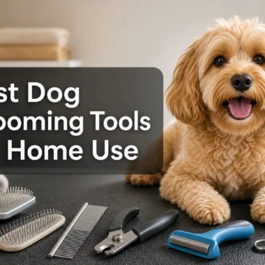Cat Grooming Supplies for Home Use